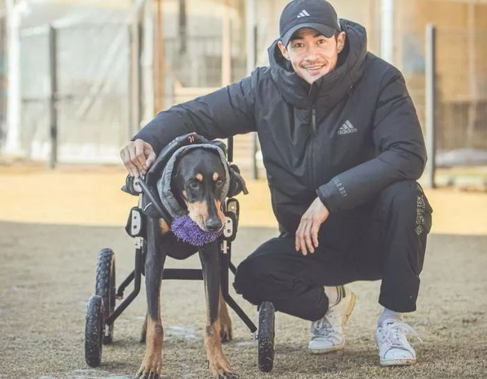 ‘전신마비 판정’ 받았던 배정남 반려견 벨...눈물 나는 근황 공개됐다 (영상)