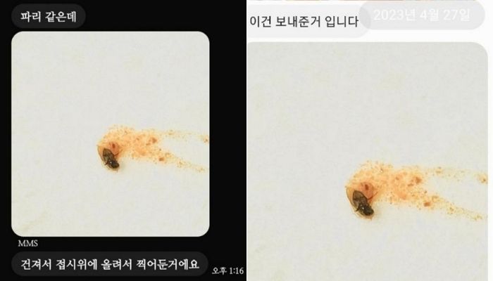 벌레 사진 한 장으로 식당 2곳에서 환불 받으려다 들통 난 ‘환불 거지’ 수법