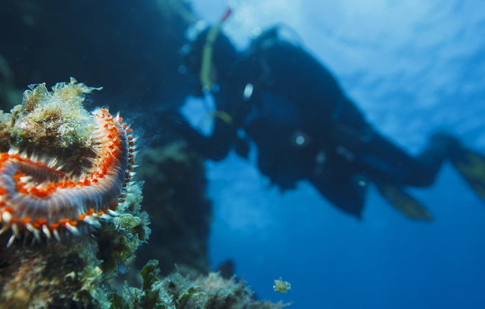 필리핀 유명 휴양지로 여행 떠난 한국인 40대 직장인 남성 휴가 도중 행방불명