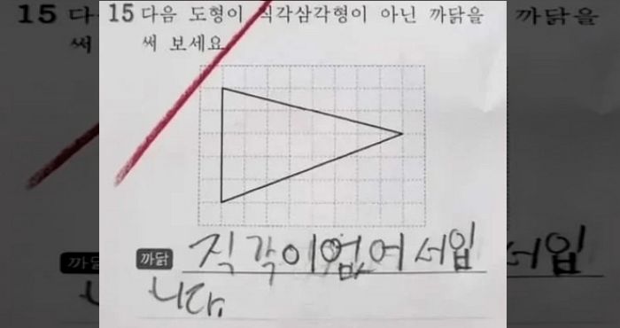 누리꾼들 사이서 논란 일어난 초등학교 수학 문제...“다음 도형이 직각삼각형이 아닌 까닭은”