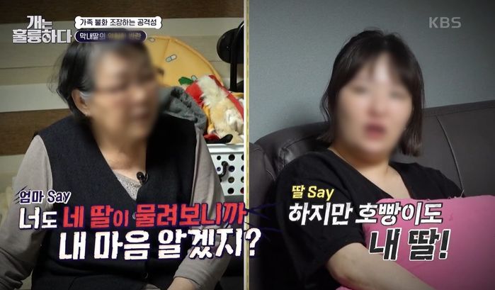 딸 코에 구멍 뚫릴 정도로 입질했는데도 반려견 감싼 ‘개훌륭’ 보호자