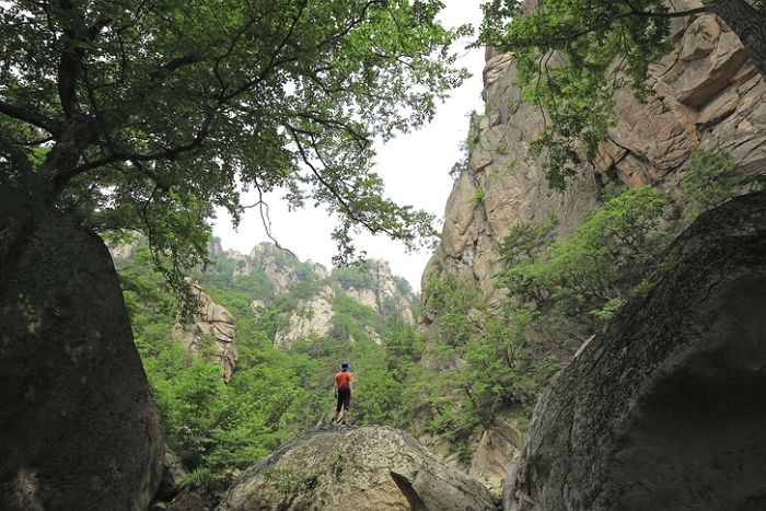 경기도 양평군 야산서 백골 시신 발견...상의엔 휴대전화도 있었다