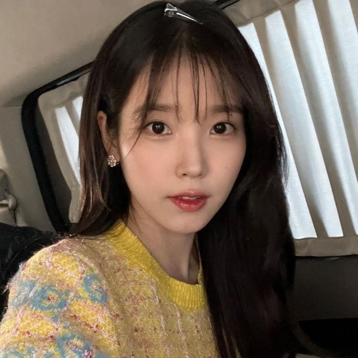 표절 의혹 휩싸인 아이유 ‘분홍신’·‘삐삐’ 작곡가들 직접 입장 밝혔다