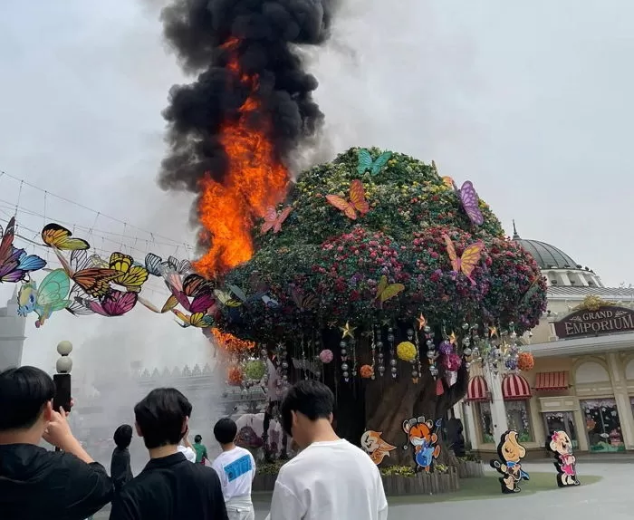 인사이트