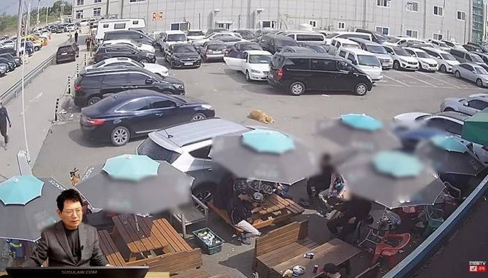 목줄 안 한 골든레트리버 교통사고 내 견주에게 수술비 4천만원 요구받은 차주