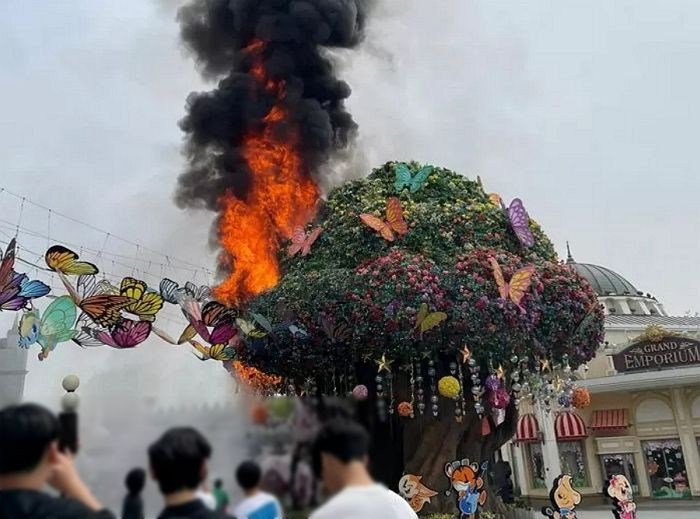 에버랜드 매직트리 화재...휴무에 가족과 놀러왔던 소방관이 초기 진화