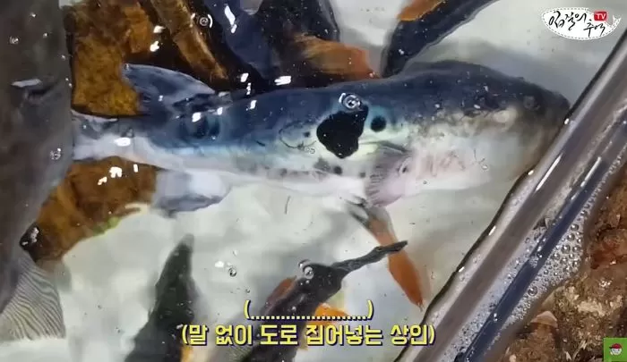 인사이트