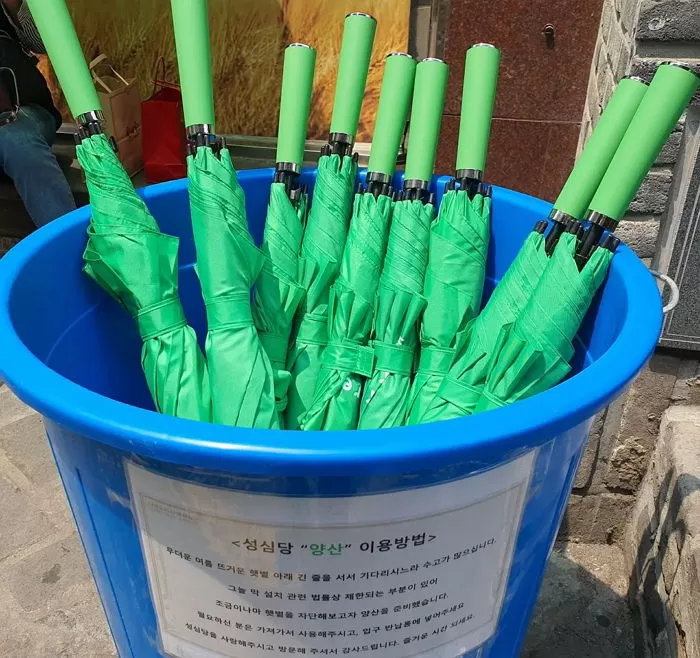 인사이트