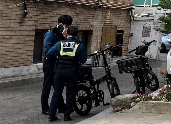 인사이트