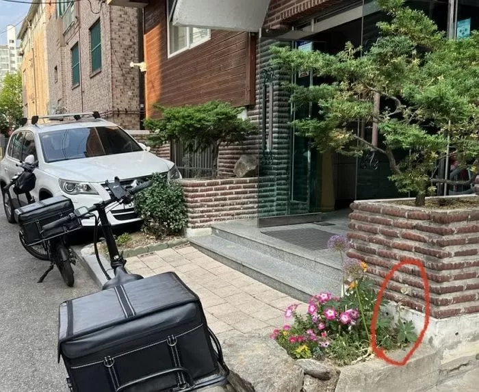 인사이트
