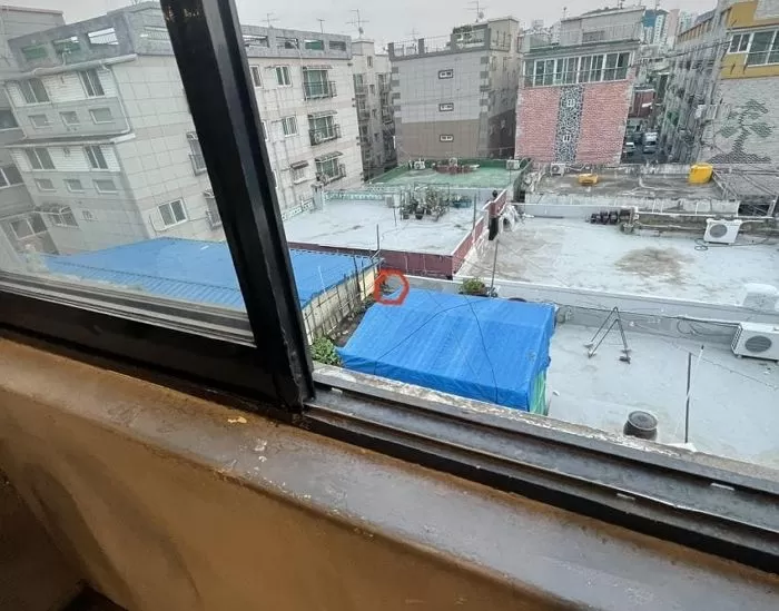 인사이트