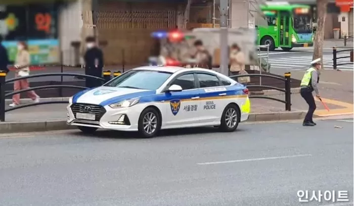 인사이트
