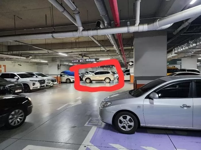 인사이트