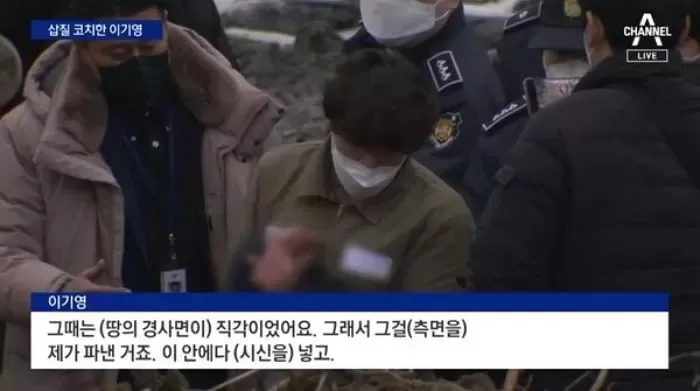 인사이트