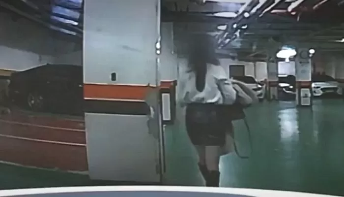 인사이트