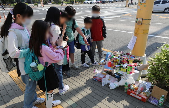 스쿨존서 반복되는 사망 사고...어린이보호구역 횡단보도 앞으로 ‘이렇게’ 바뀐다