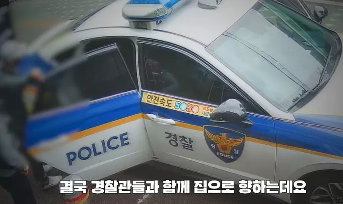 인사이트