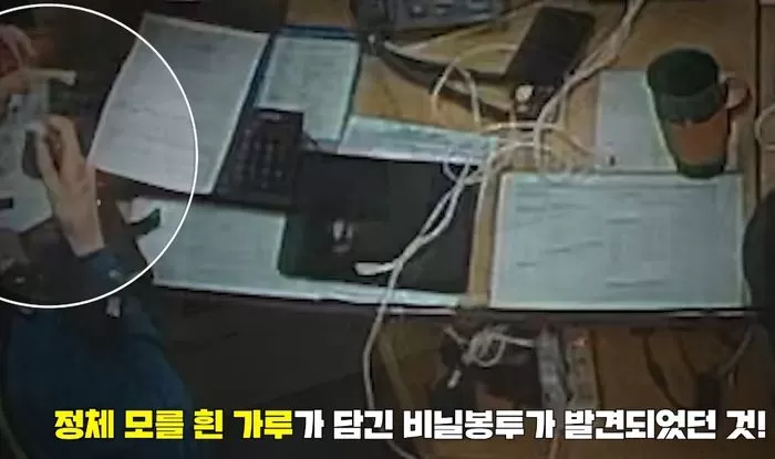 인사이트
