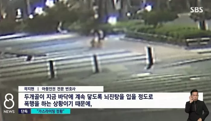 인사이트