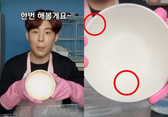 인사이트