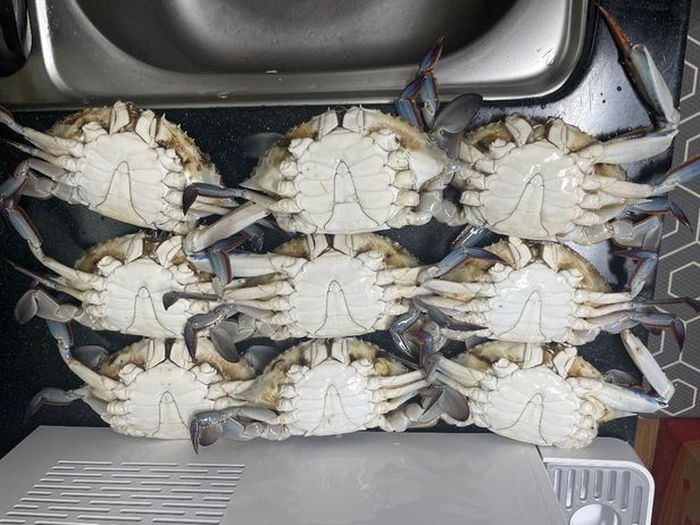 “인천 OO포구에서 꽃게 구매해 집에서 열어봤더니 ‘게 다리’가 다 실종돼 있었습니다”