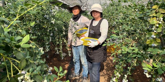 충북 영동·경북 영주·경남 남해 등 인구 소멸 위기 지역, 쿠팡 입점 후 활력 되찾았다