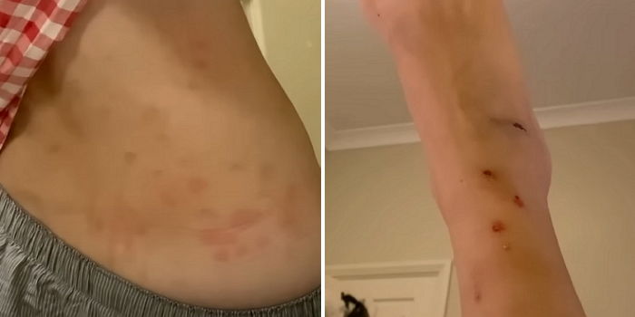 호주로 ‘워킹 홀리데이’ 중인 유튜버가 도저히 못 살겠다며 ‘탈출 선언’한 이유