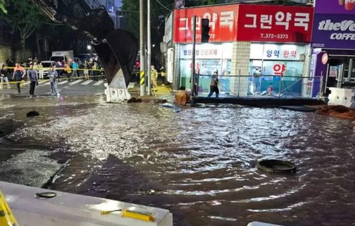 인사이트