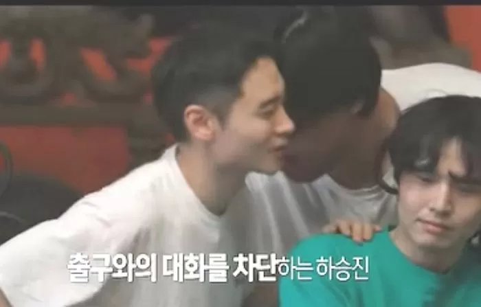 인사이트