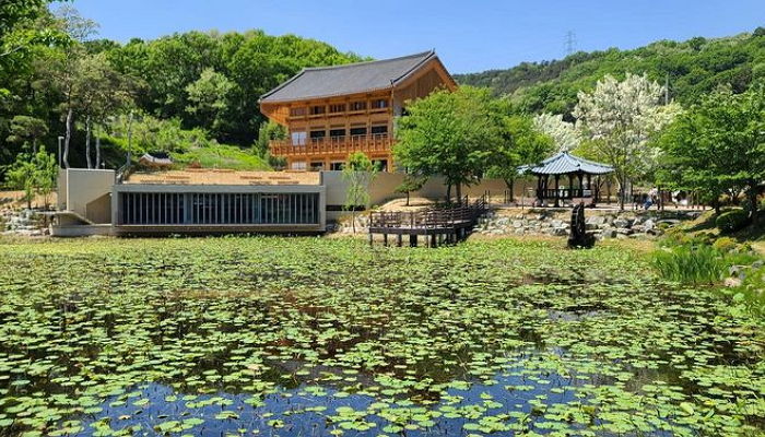 통유리창 너머로 ‘힐링뷰’ 보면서 커피+책 즐길 수 있는 청주 한옥 북카페 (+사진)