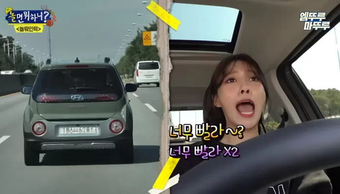 인사이트