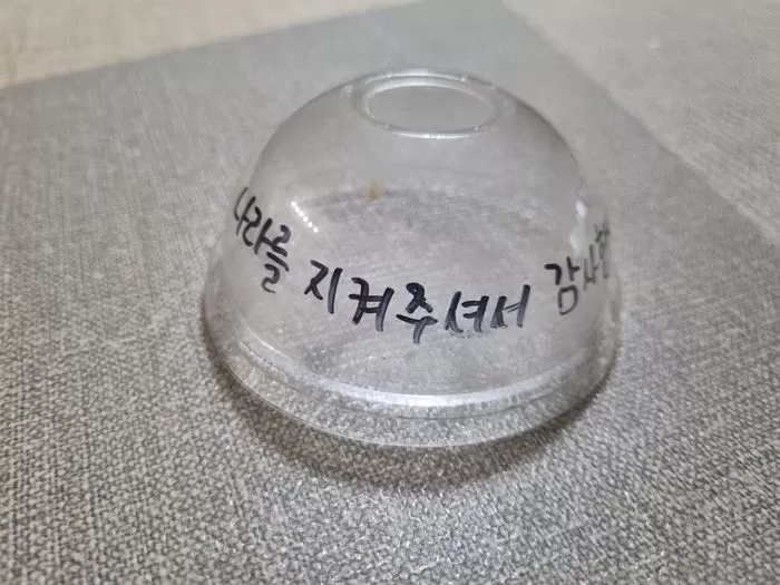 인사이트