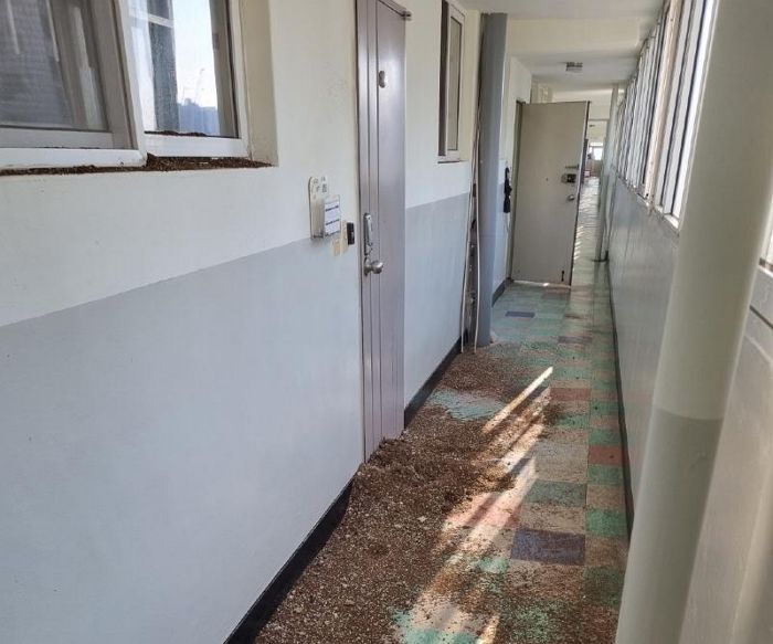 “아랫집에 담배 냄새 올라온다고 말했다가 보복 테러 당했습니다”