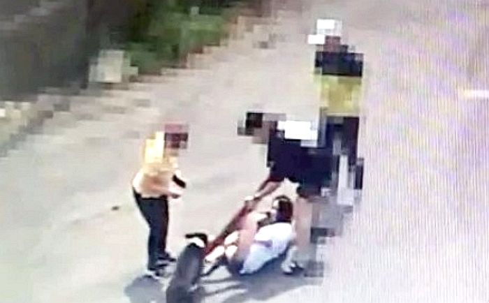 목줄 없는 반려견에 ‘개물림 사고’ 당한 여성...공격당한 강아지는 죽었다