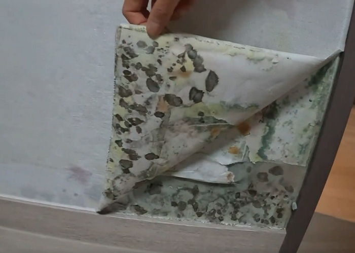 “대리석인 줄 알았는데 ‘곰팡이’었습니다”...입주자들 난리난 송도 신축 아파트 상태 (영상)