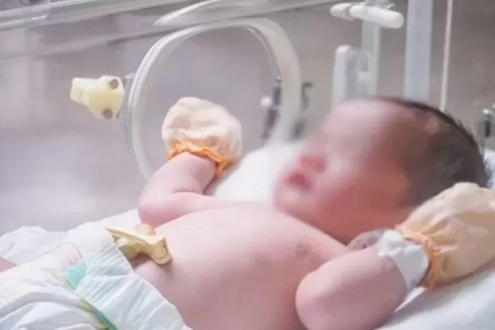 신생아 출생신고 한 부모에게 ‘사망신고 완료’ 문자 보낸 김해시