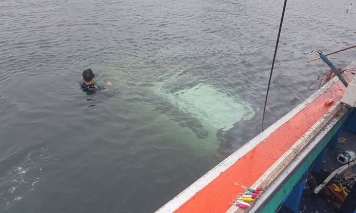 제주도 바닷가서 운전 연습하던 여성, 브레이크 대신 액셀 밟아 추락 (+사고 영상)