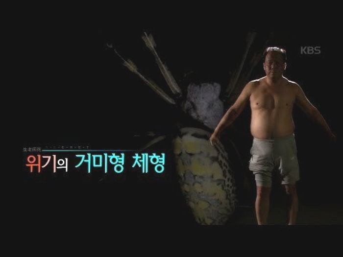 “만약 당신이 이런 몸매를 가지고 있다면, 지금 당장 병원으로 달려가야 한다”
