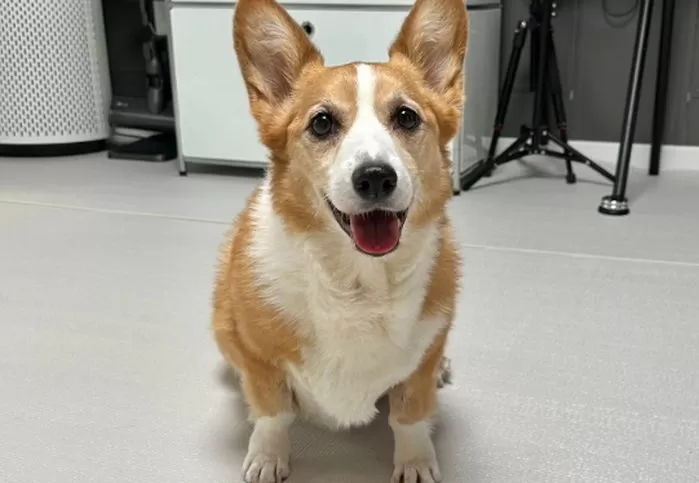 “나이는 무조건 속였다”...백호 누나가 감추고 있는 진실, ‘궁금한 이야기Y’에서 공개된다