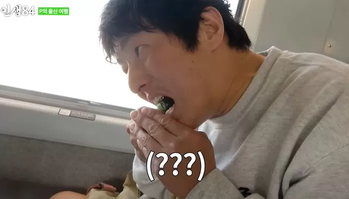 인사이트