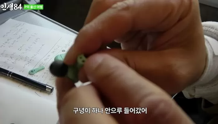 인사이트