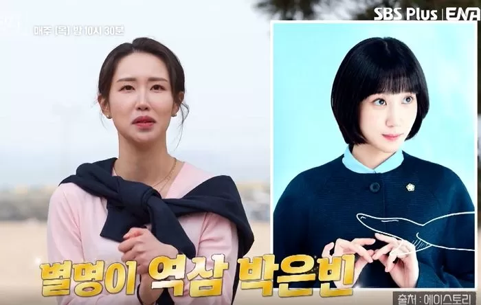 인사이트