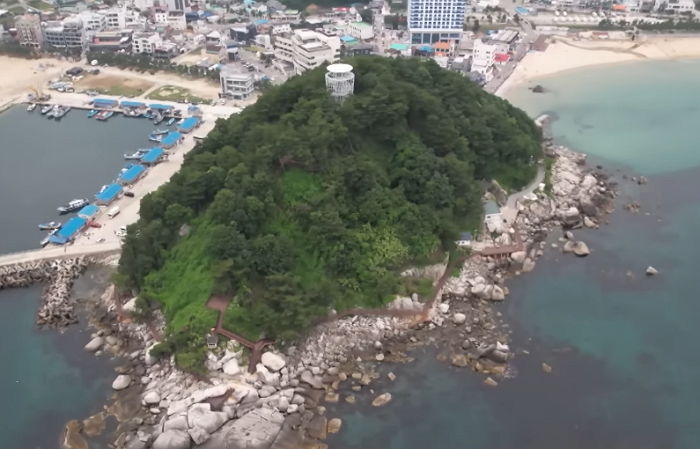“양양 둘레길 걷던 아내가 나무 난간에 기댔다가 낭떠러지로 떨어졌습니다”
