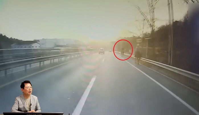 “도로에서 말이 갑자기 끼어들어 사고났는데, 말 주인이 3900만원을 내놓으랍니다” (영상)