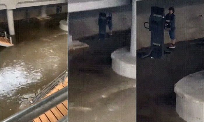 폭우로 강물 불어나는데...해외 온커서 난리난 ‘물난리’ 속 운동하는 한국 아주머니 (영상)