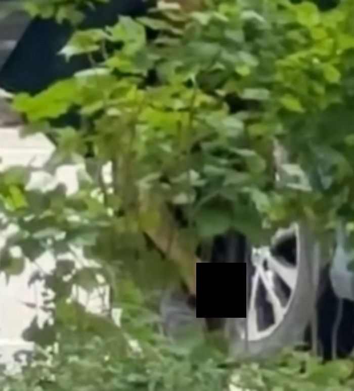 비 오는 날, 아파트 화단에 숨어 ‘음란행위’ 하다가 딱 걸린 ‘변태남’의 최후