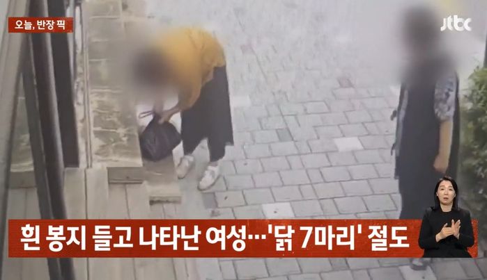 가게 앞에 배달된 닭 7마리 훔쳐간 할머니....“버린거라 생각할 듯”