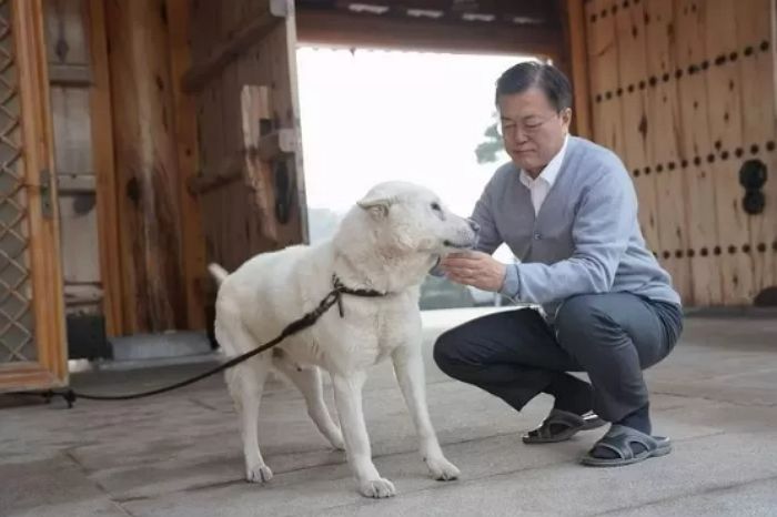 문 대통령, 북한에 선물 받은 풍산개 ‘곰이·송강이’ 퇴임 후 사저로 못 데려간다
