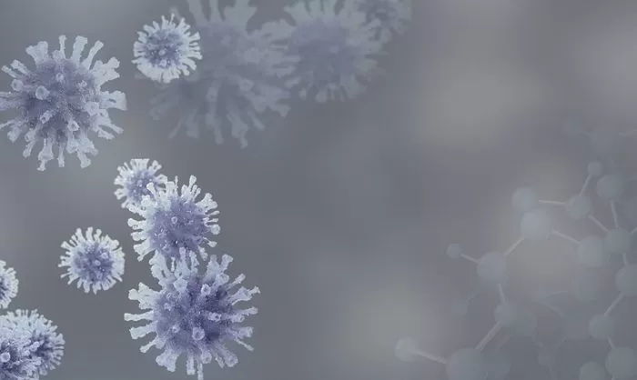 확진자들 쏙 빼놓고 코로나 ‘미감염자’ 직원에게만 보너스 주는 회사 대표님
