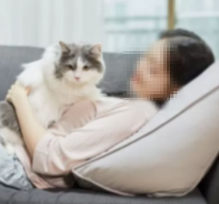 “고양이 화장실 모래 그냥 버린 민폐 집사 때문에 아파트 배관이 꽉 막혔습니다”